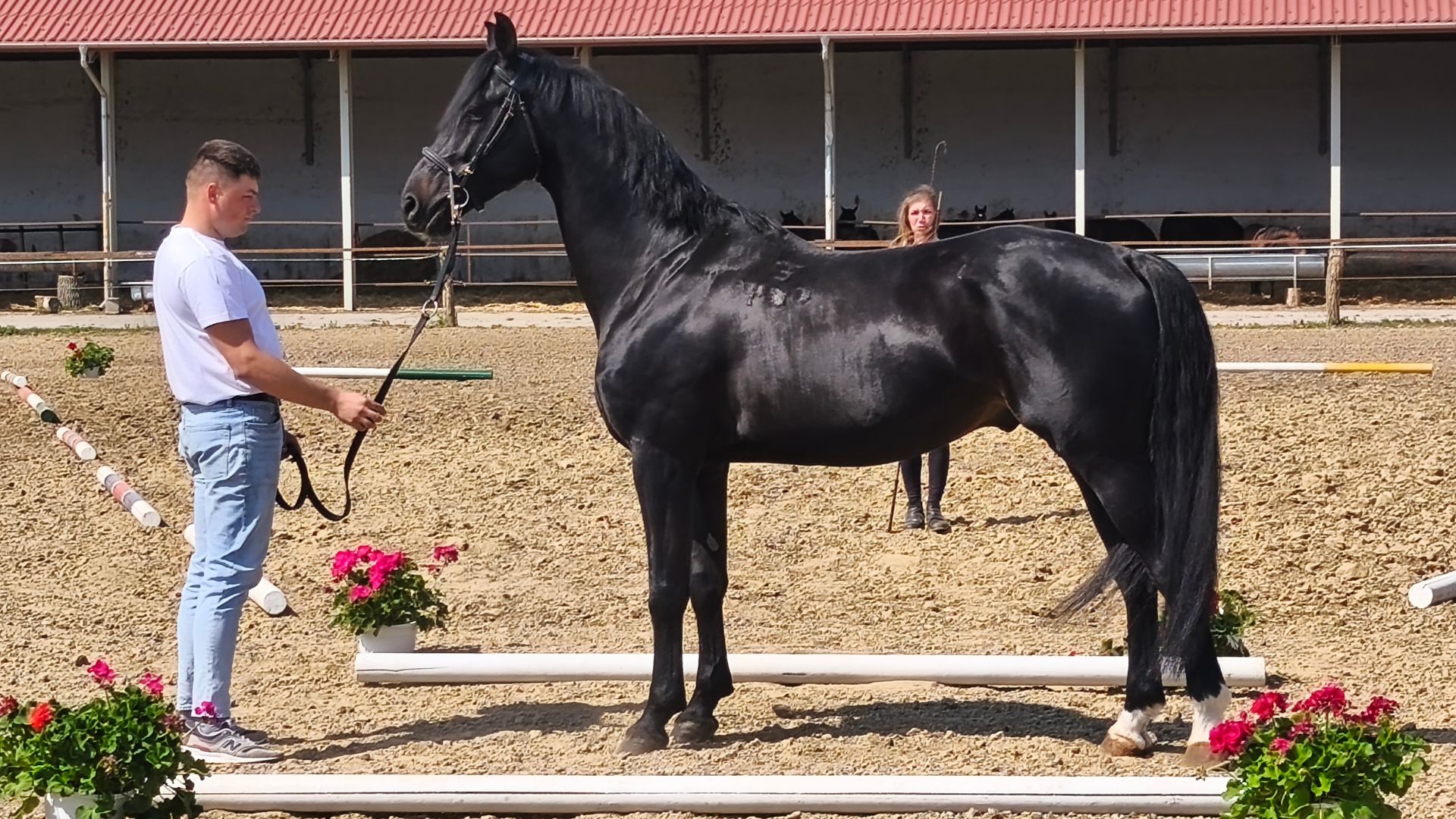Furioso rendezvény8.jpg